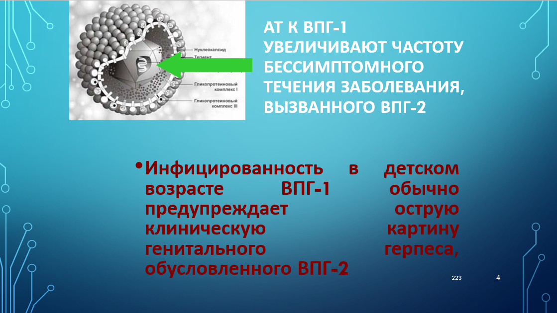 Вирус простого герпеса 1 g