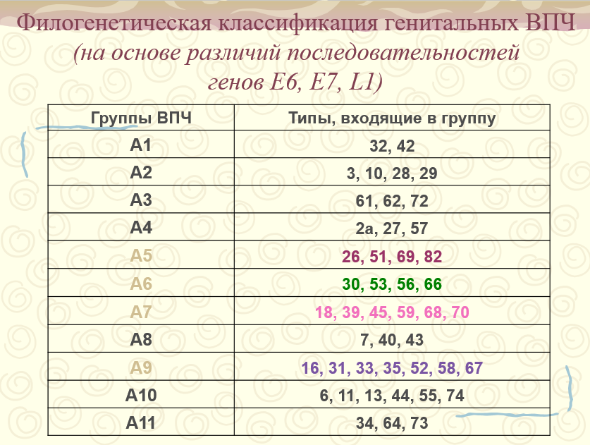 Лечение вируса папилломы человека в Германии